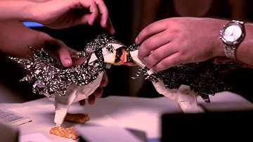 Glitches x Moleskine - Behind the scenes