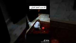 من اسباب الحجر المنزلي