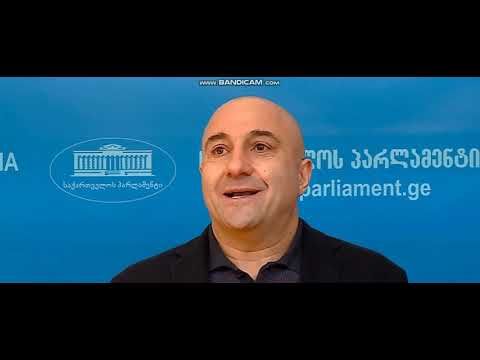 \"ბევრმა პოლიტიკოსმა არ იცის სხვაობა, მაჟორიტარულსა და პროპორციულს შორის, დებილები კი ბევრგან არიან\"