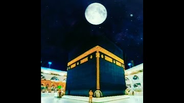 القارئ:عبدالرحمن مسعد || الْحَجُّ أَشْهُرٌ مَّعْلُومَاتٌ