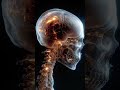 The Bizarre 1800s Science of Head Bumps #history #science