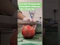 Core the Pomegranate - Granatapfel entkernen - Kako očistiti Nar