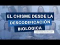 El chisme desde la Descodificación Biológica - Ángeles Wolder