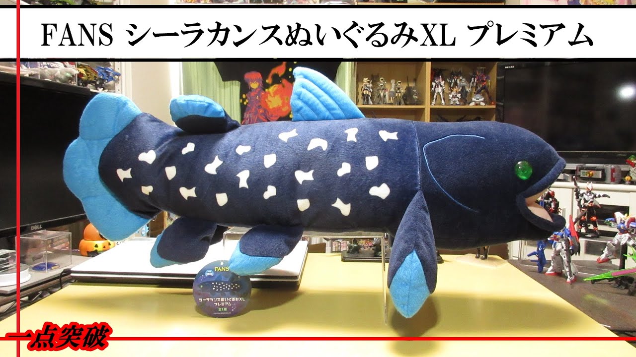 けもフレあみぐるみ「シーラカンス」 古代魚】FANS シーラカンスぬいぐるみXL プレミアム - YouTube