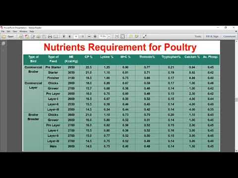 Video: 6 Alasan AF Nyata Untuk Feed Formula