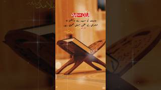 Raah-E-Hidayat Quran