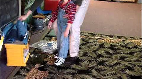 DOTOGSWORK orig tune