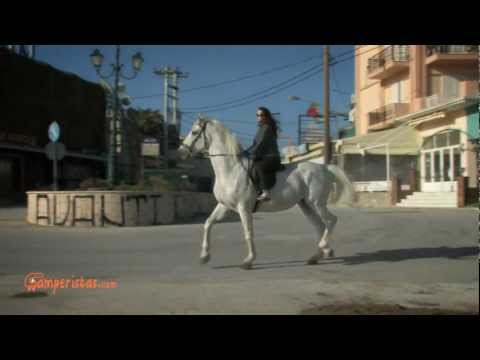Laganas: Ghost Town