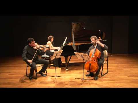 Ana Flávia Frazão, José Maria Blumenschein e Dennis Parker. R.Schumann: Piano Trio op.80