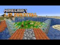 SUPER MR WHEAT BOY - (1.17 Minecraft Survival)