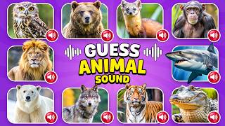 Guess the Animal by Its Sound 🔊🐾 | 30 Animal Sounds Quiz | Knowlio screenshot 3