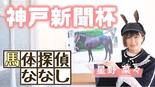 【神戸新聞杯】好成績を収めるためには？馬体チェックポイントを解説