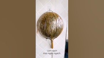 Chai xịt tẩy rửa đa năng Kitchen Cleaner 500ml - Nước tẩy rửa nhà bếp