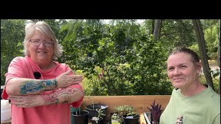 Big Hugs to Pine Drive Plant Swap-Welcome New Seed Library!!!!