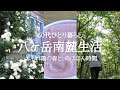 【八ヶ岳南麓60代一人暮らし】#69 夏の森~光と影、鳥のさえずり /野辺山に咲くニッコウキスゲ/つるバラと萌木の村/BOOK&COFFEE「のほほん」/50年前の、南麓酷寒話/移住暮らし/田舎暮らし