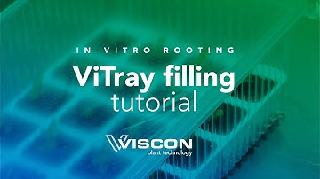 ViTray Tutorial