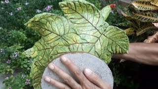 How To Make Beautiful Cement pot At Home | Simple &amp; Easy DIY Flower Pot Designs