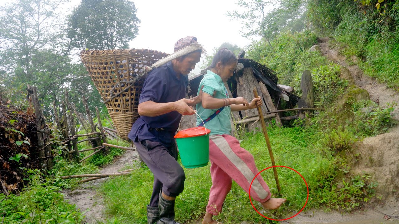 jungle man wife's leg is fractured while taking their cows upper jungle shed from the village