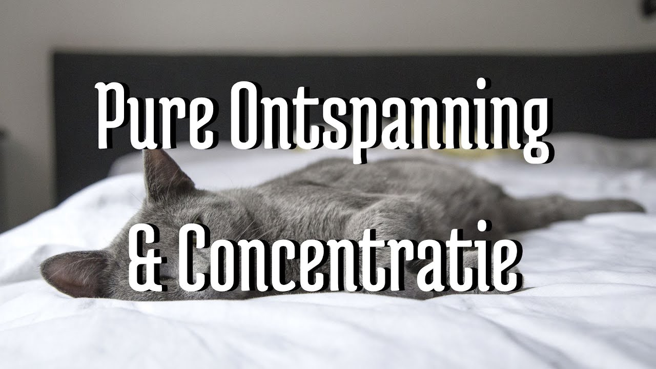 Slaapmuziek | Muziek om in 1 uur te slapen - YouTube