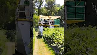 Revolutionary Over - The - Row Berry Harvester: The Shaking Machine Transforming Vineyard Harvesting 🍇