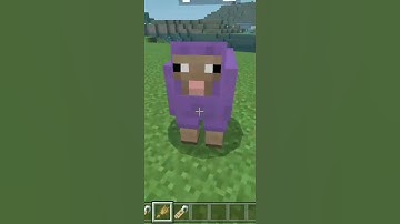 What if i breed jeb_ and Dinnerbone...