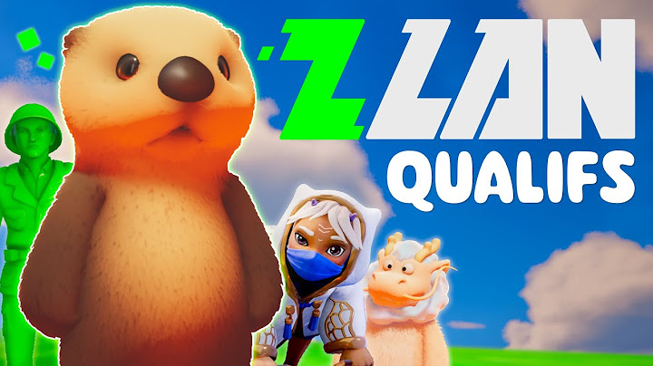 J'ai Participé aux QUALIFICATIONS de la ZLAN
