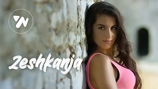 Altin Sulku - Zeshkanja (Official Video)