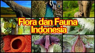 Materi IPS kelas 7 smtr 1 K13. Flora dan Fauna Indonesia screenshot 5