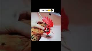 الله  شاهد للاخير كيف الحيوانات تنطق كلمه الله