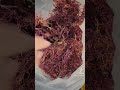 DRIED SEA MOSS WITHOUT SALT