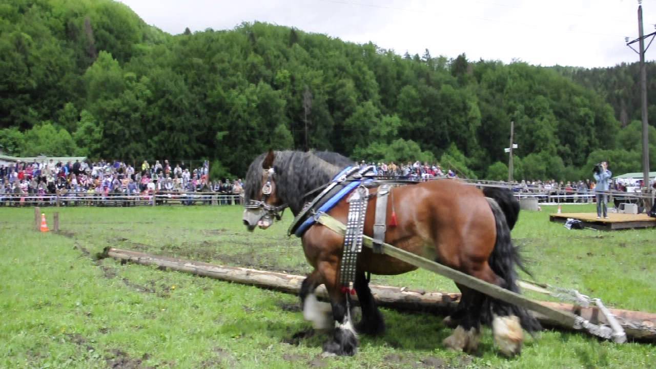 Furmani v Dobsinej YouTube