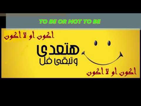 مدح محمود الليثي حب النبي كامل 