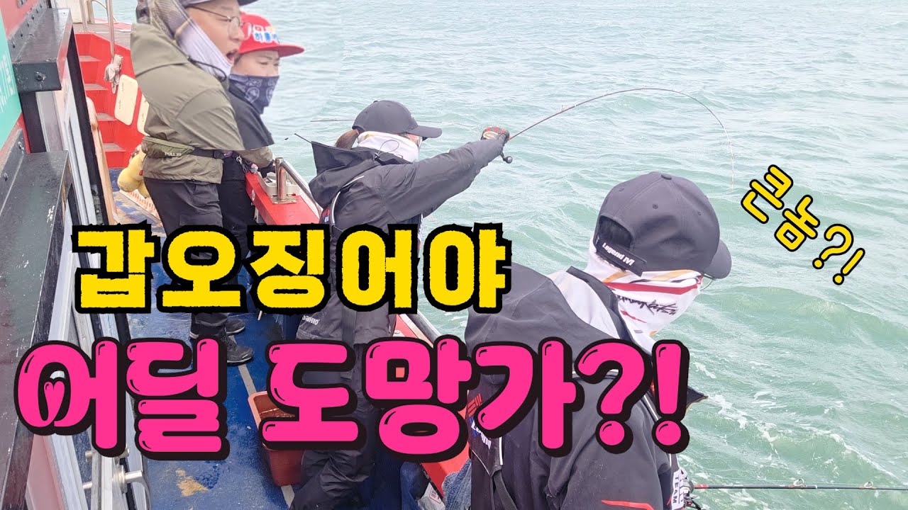 무창포 갑오징어 별거 아니네!!