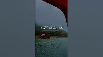 استغفروا ربكم إنه كان غفارًا | تلاوة خاشعة ماهر المعيقلي