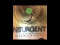 Insurgent chapters 3 & 4