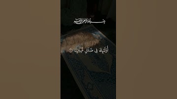 #قرآن #تلاوة_خاشعة #اكسبلور #قران_كريم #لايك #المصحف #اجر_لي_ولك #حالات_واتس