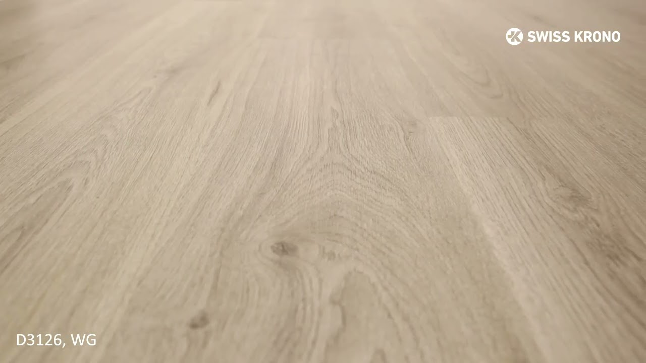 Previzualizare video