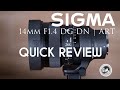 Sigma 14mm F1.4 DN ART Quick Review  | The Astro Monster