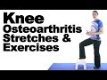 Knee Osteoarthritis (OA) Stretches & Exercises -  Ask Doctor Jo