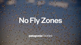 No Fly Zones