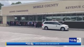 License commission employee tests positive