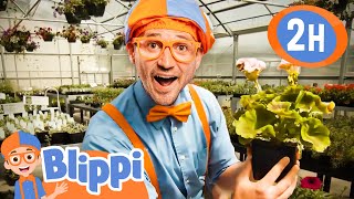 Blippi Watches Plants Grow 🌱🪴| Blippi | 🔤 Moonbug Subtitles 🔤 | Learning Videos