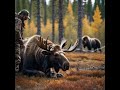 Moose hunter killed by grizzly bear the fatal grizzly attack of ken novotny