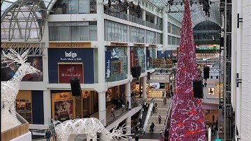 Giant Christmas Tree & Reindeer at Eaton Centre🎄🦌