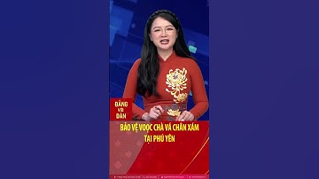 Bảo vệ voọc chà vá chân xám tại Phú Yên #shorts