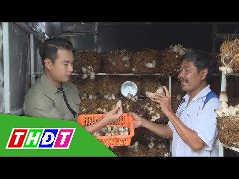 Video: Tại Sao Nấm Gạo Lại Hữu ích?