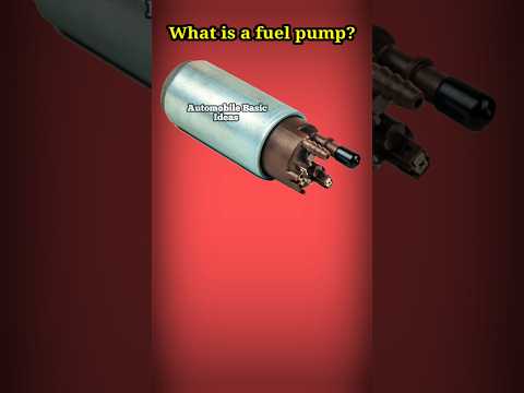 What Is The Function Of A Fuel Pump