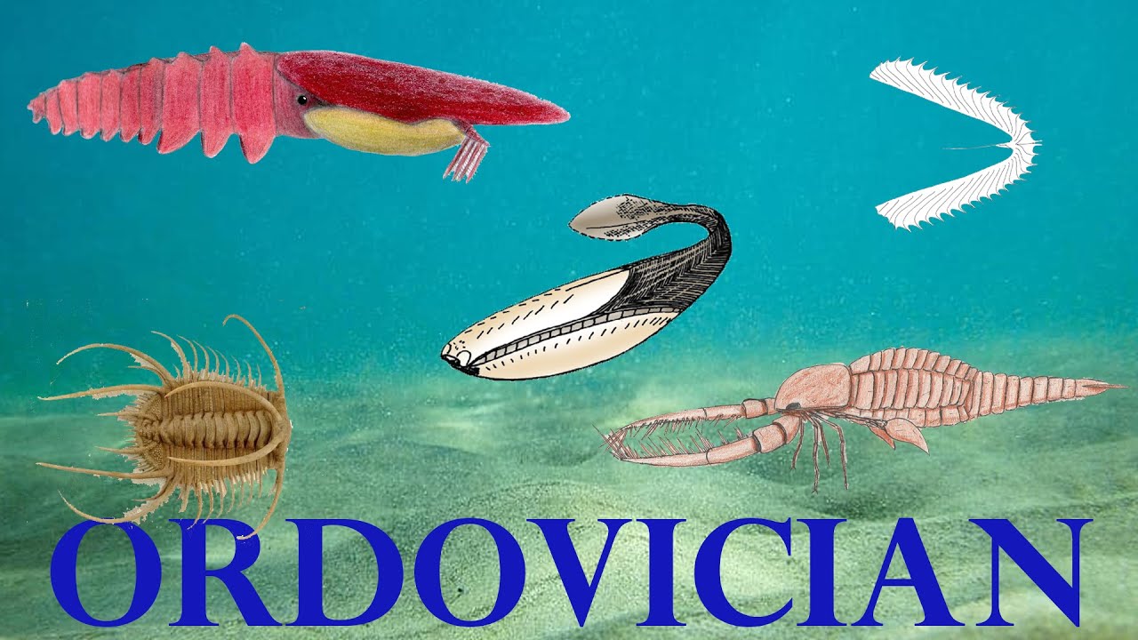 The five Strangest Animals of the Ordovician period