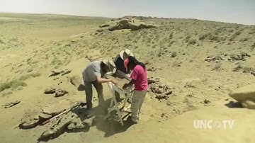 How satellites and GPS help find Dinosaur fossils | Sci NC
