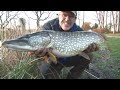 Pike Fishing with Hard Lures - Tips & Tactics